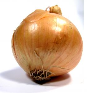 onions-in-vegetable soup