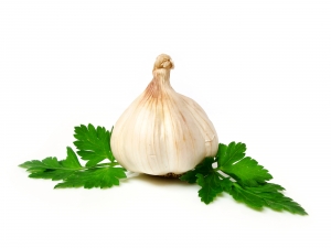 Healthy Garlic