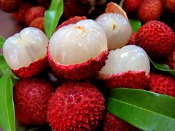 lychee-salad-with-leaves.jpg