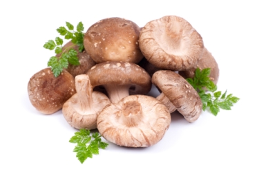 Shiitake Mushrooms 2023