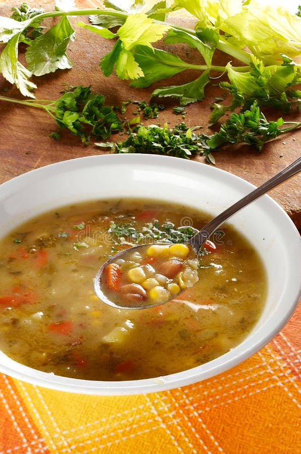 Nutritious Vegetable Soup