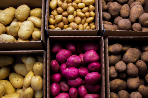 Different Types of Potatoes